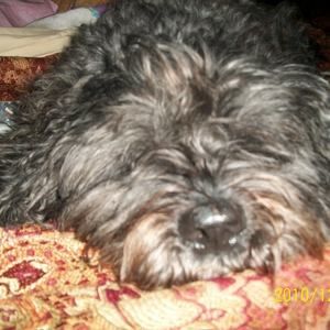 Meet your Posher, Debbie